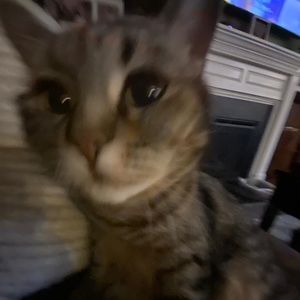 Meet your Posher, Kate